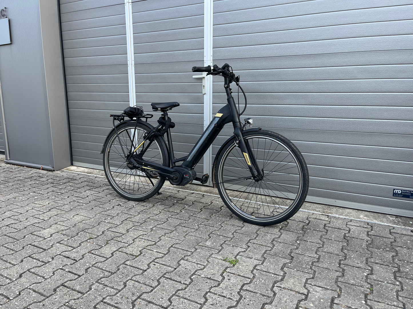 Pegasus Tecaro Evo Belt