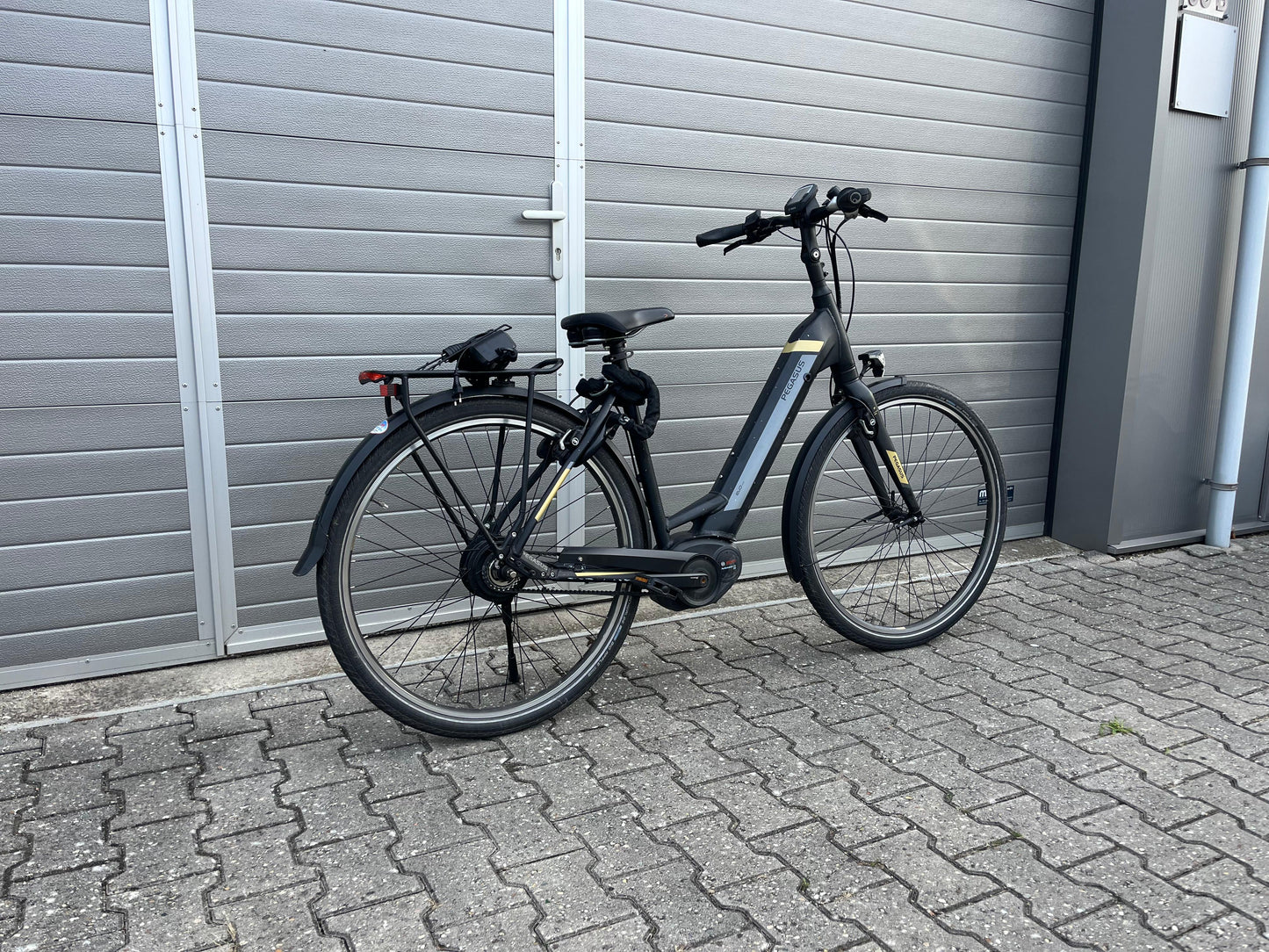 Pegasus Tecaro Evo Belt