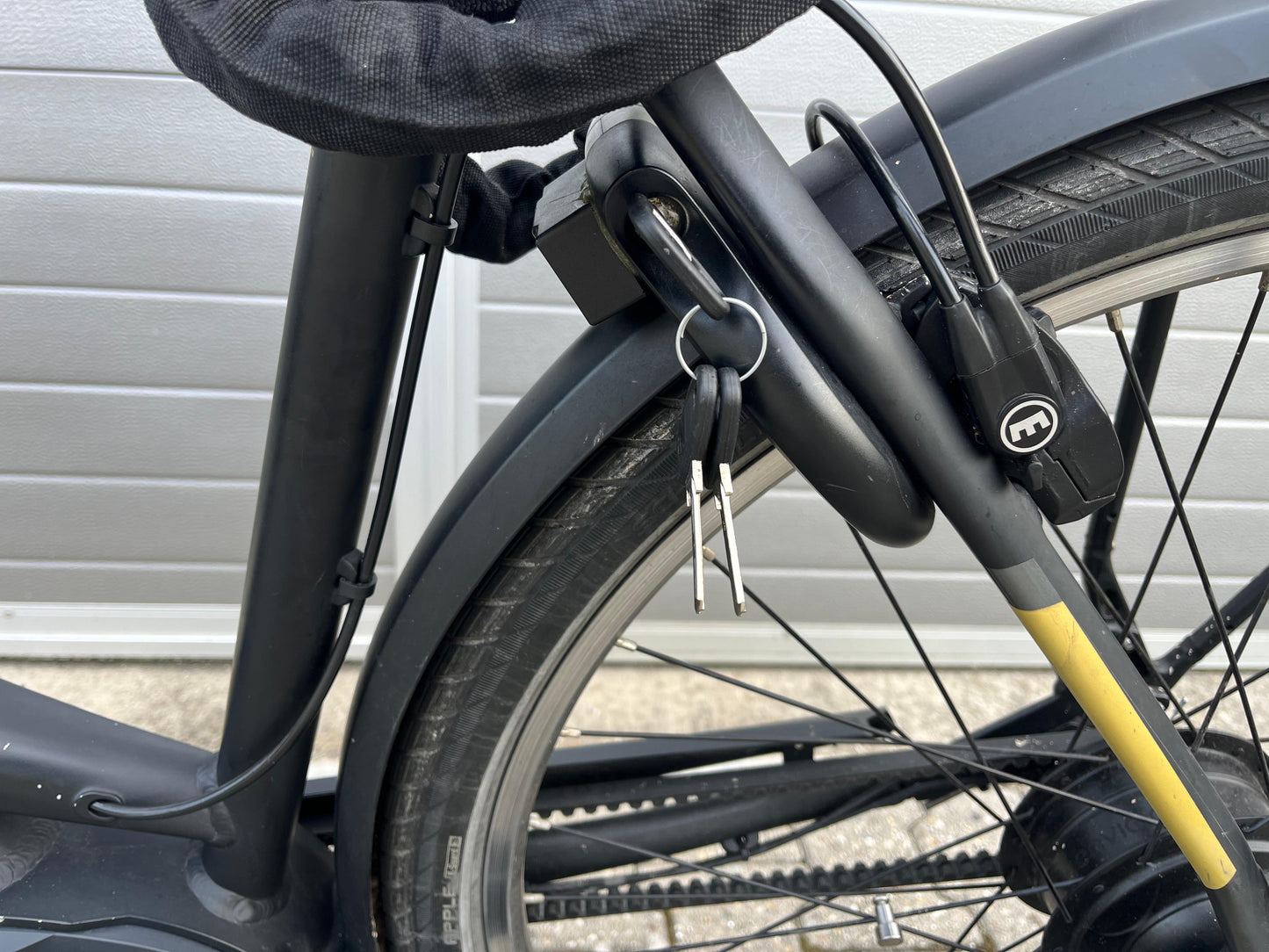 Pegasus Tecaro Evo Belt