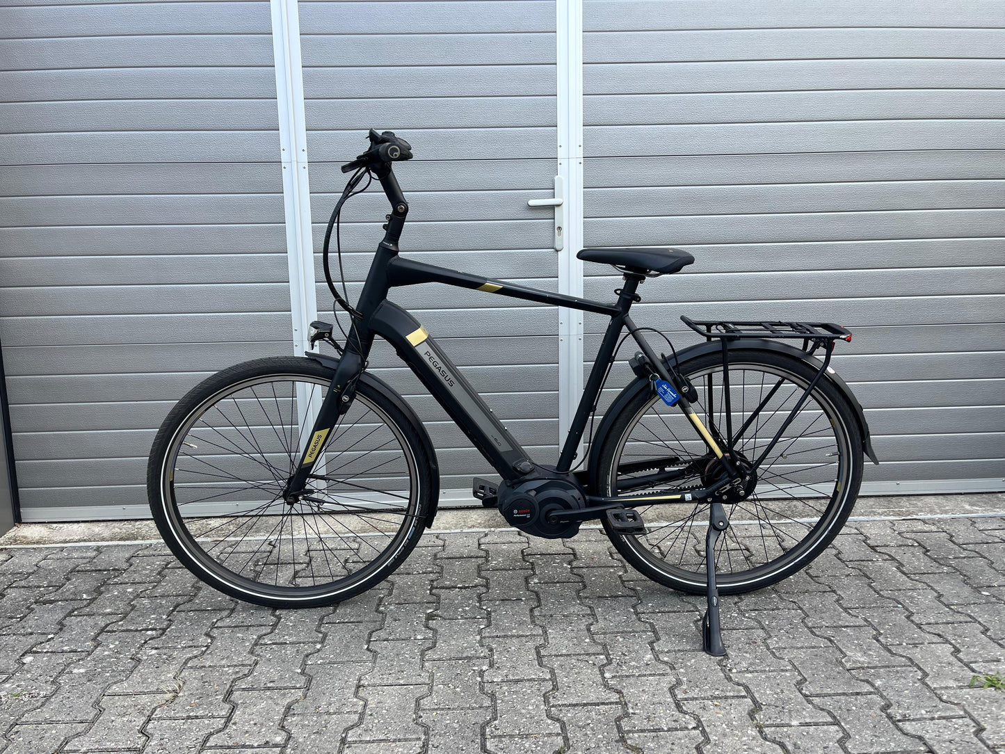 Pegasus Tecaro Evo Belt