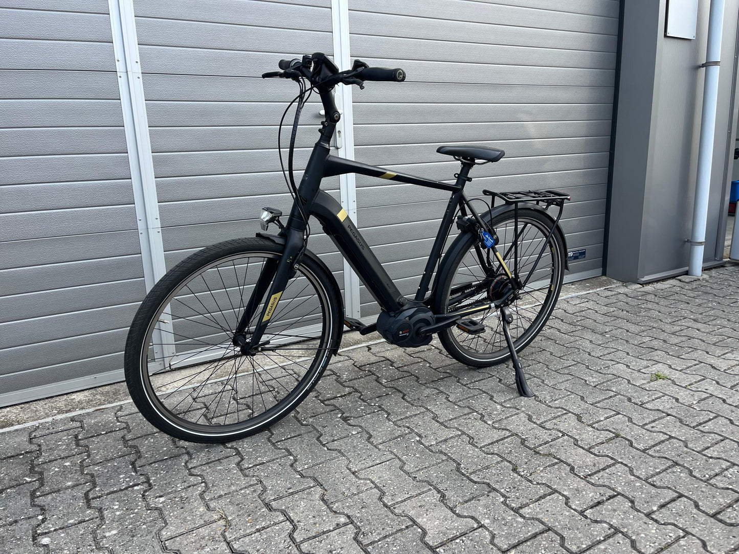 Pegasus Tecaro Evo Belt