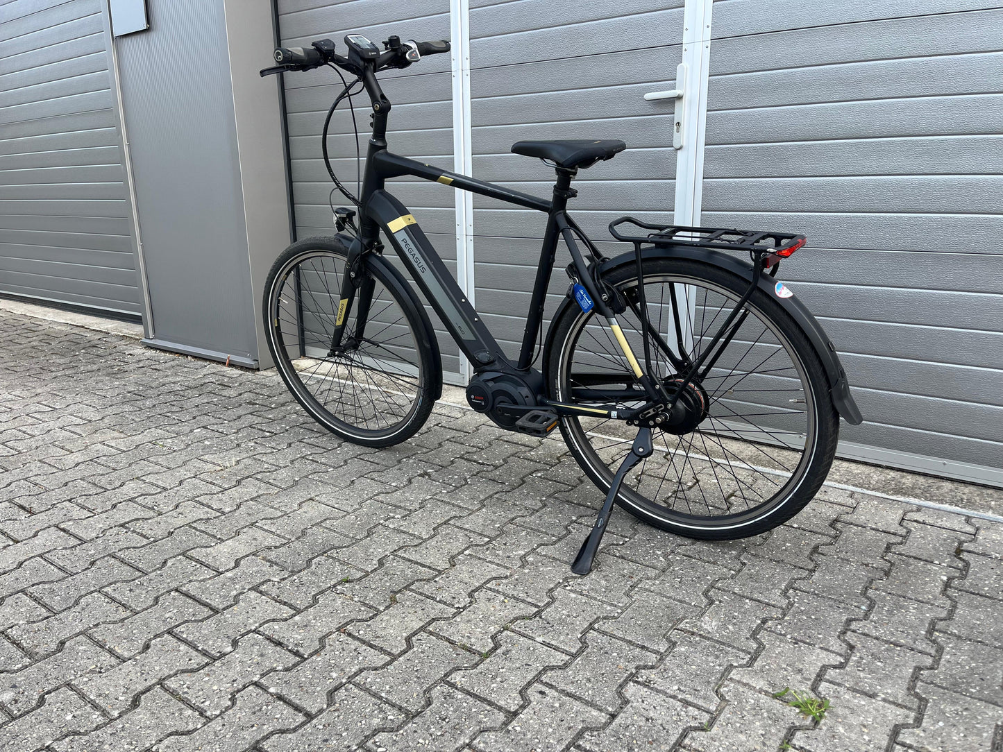 Pegasus Tecaro Evo Belt