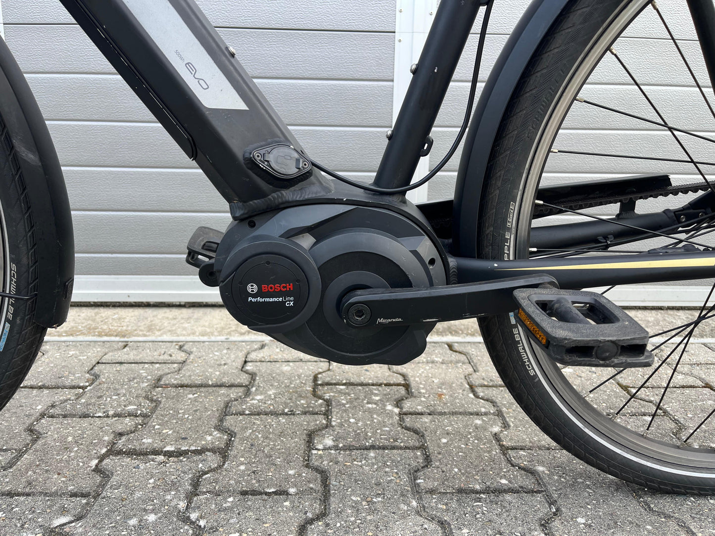 Pegasus Tecaro Evo Belt