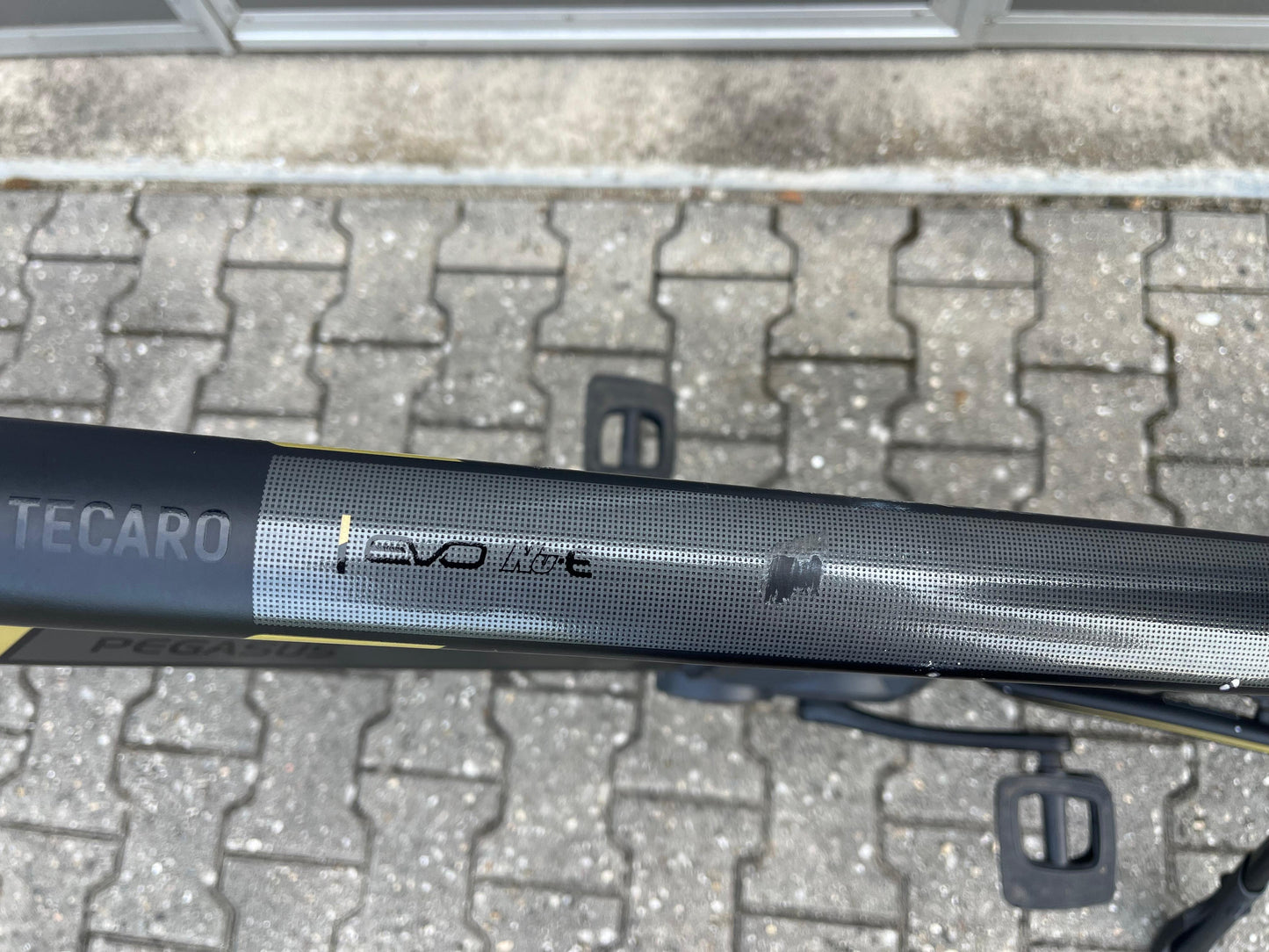 Pegasus Tecaro Evo Belt