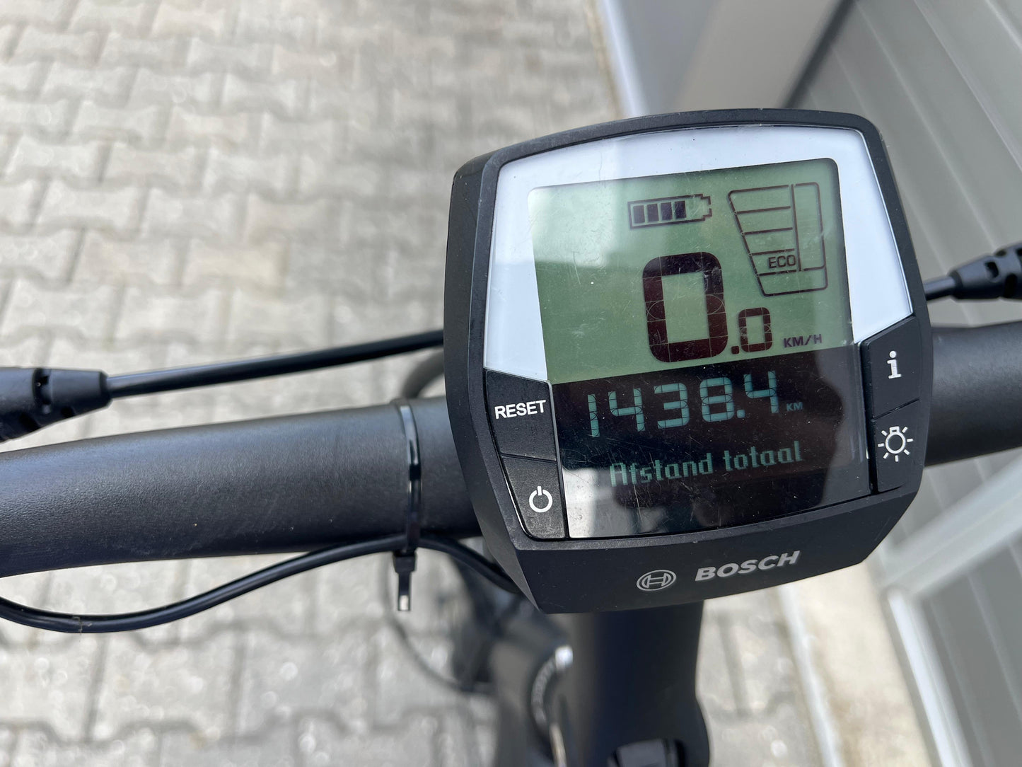 Pegasus Tecaro Evo Belt