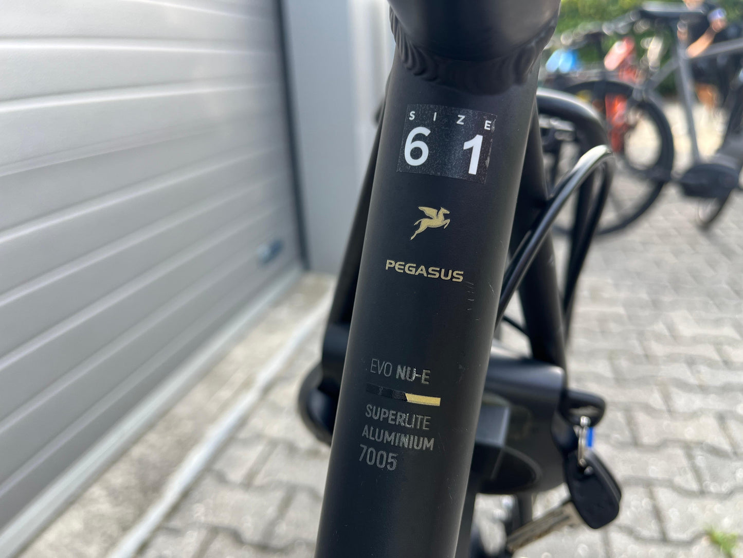 Pegasus Tecaro Evo Belt