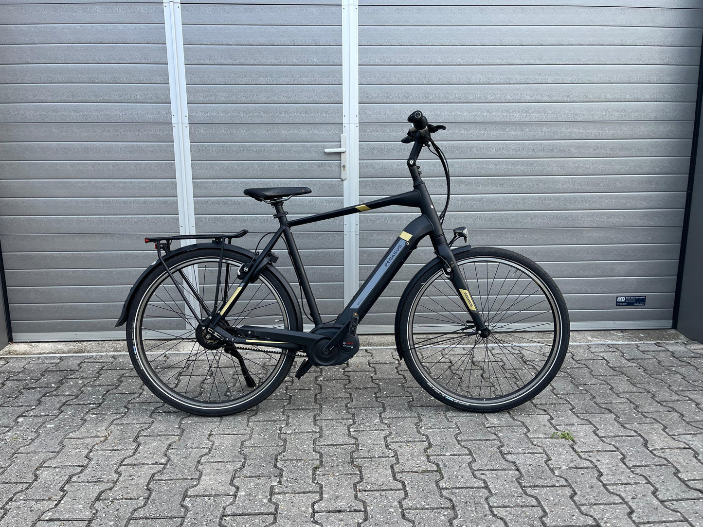 Pegasus Tecaro Evo Belt