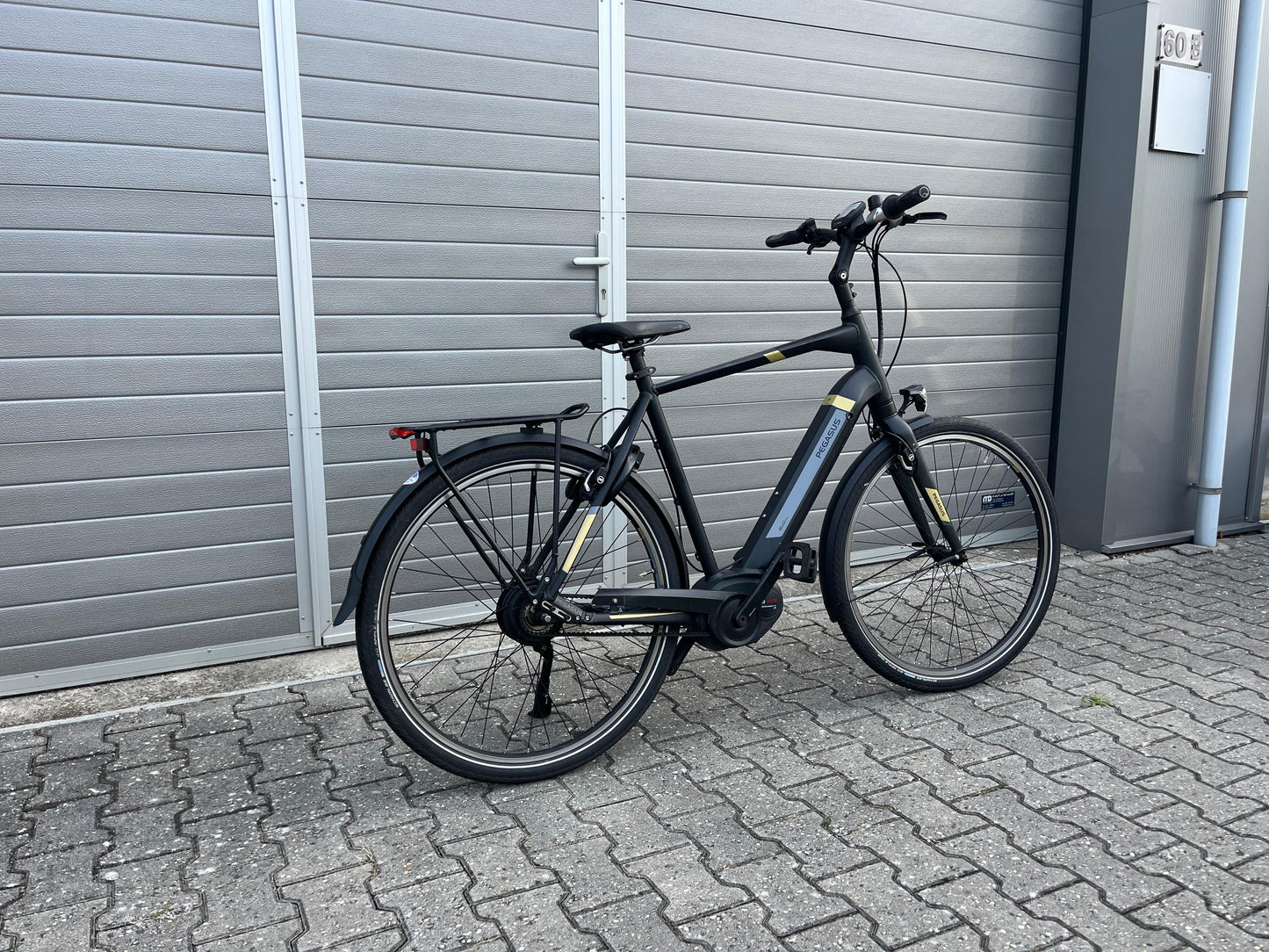 Pegasus Tecaro Evo Belt