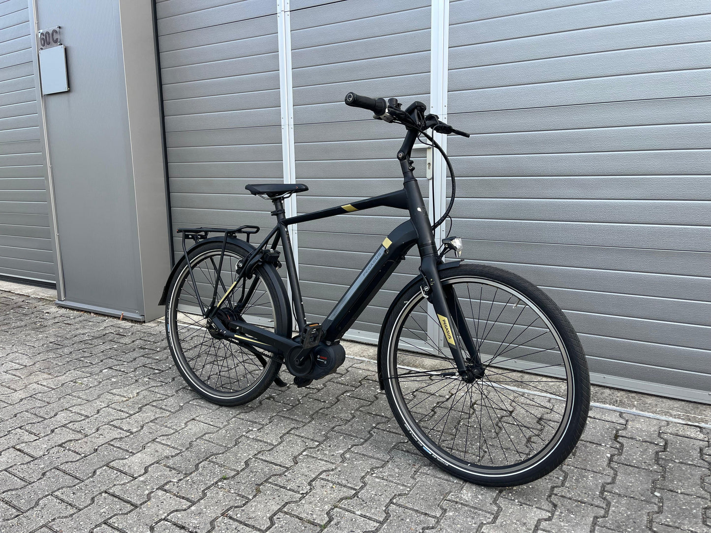 Pegasus Tecaro Evo Belt