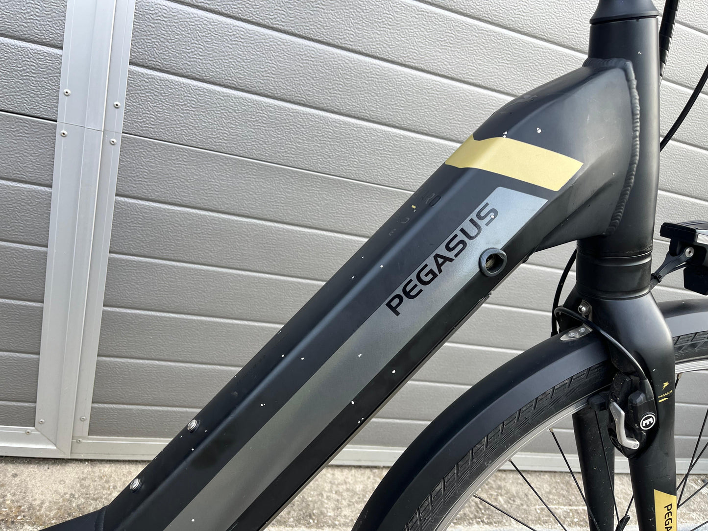 Pegasus Tecaro Evo Belt