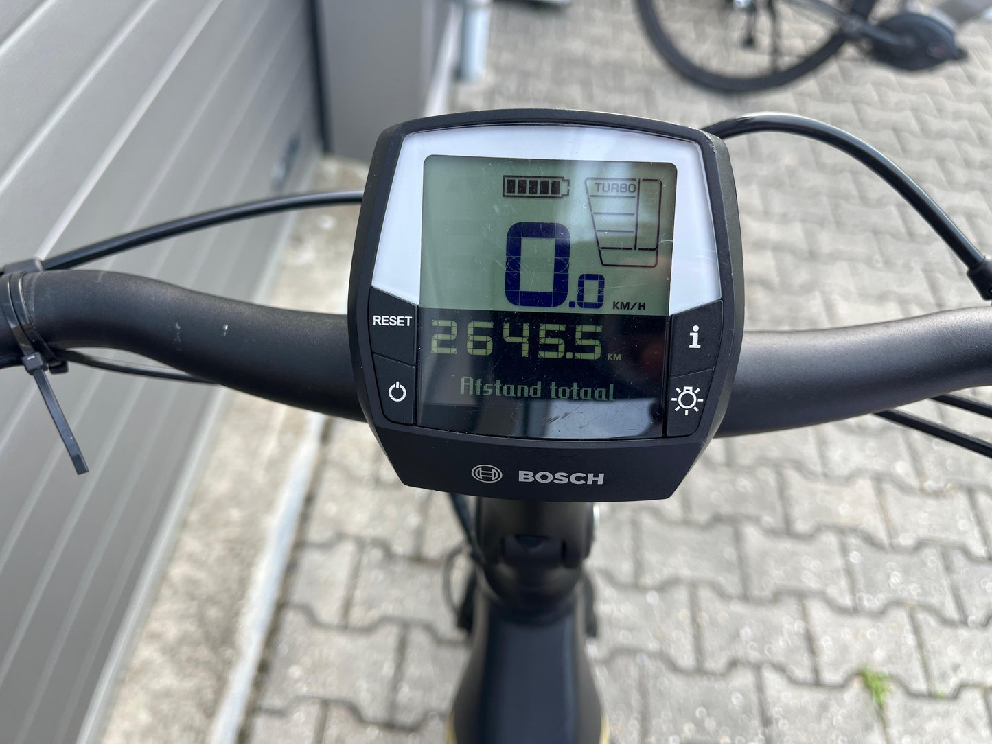 Pegasus Tecaro Evo Belt