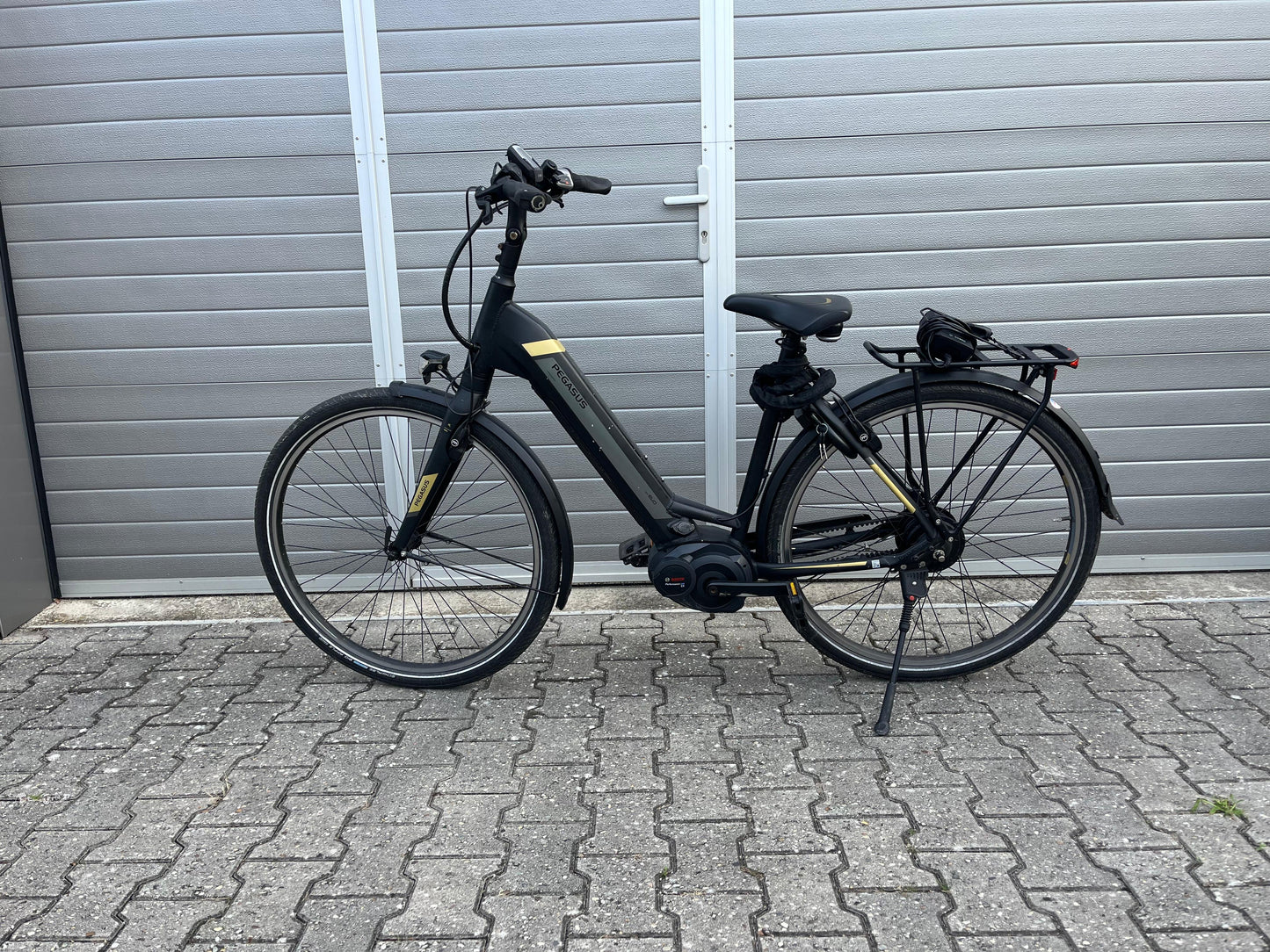 Pegasus Tecaro Evo Belt