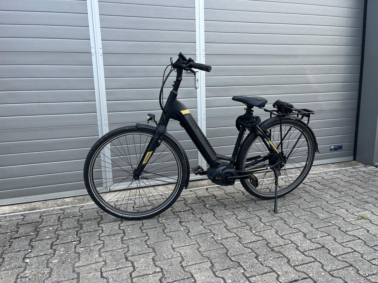 Pegasus Tecaro Evo Belt