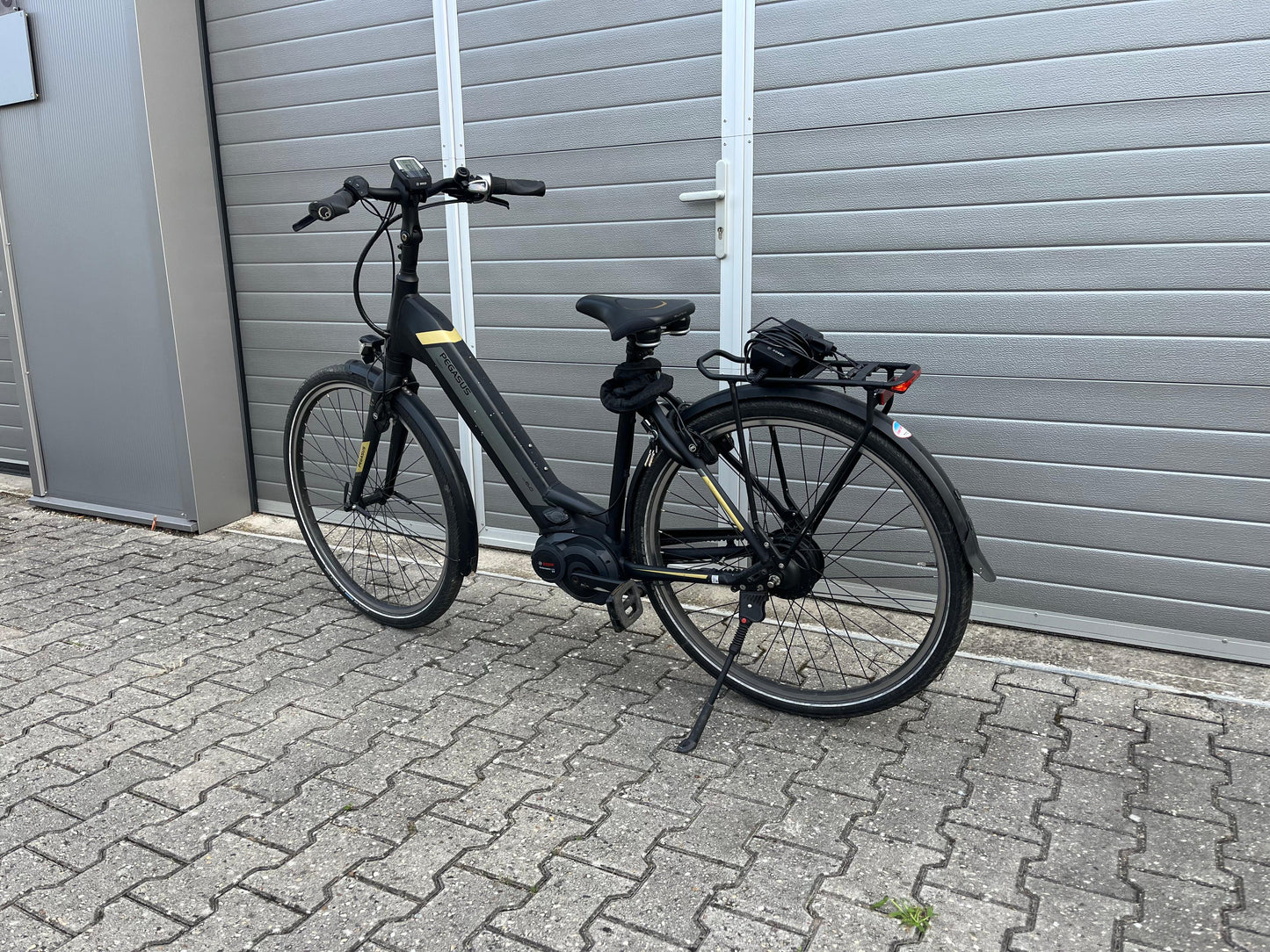 Pegasus Tecaro Evo Belt