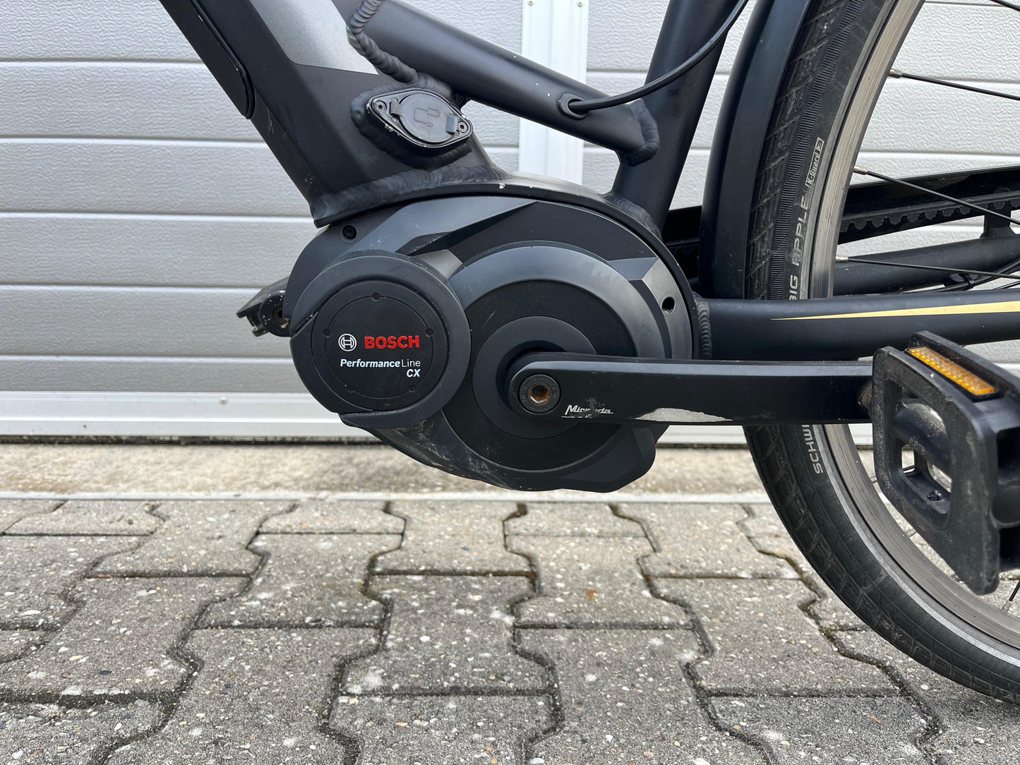 Pegasus Tecaro Evo Belt